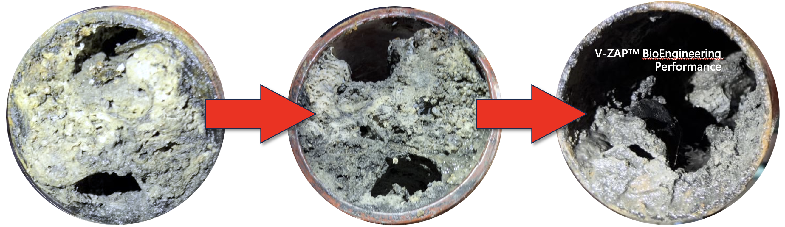 Pipe BioEngineering