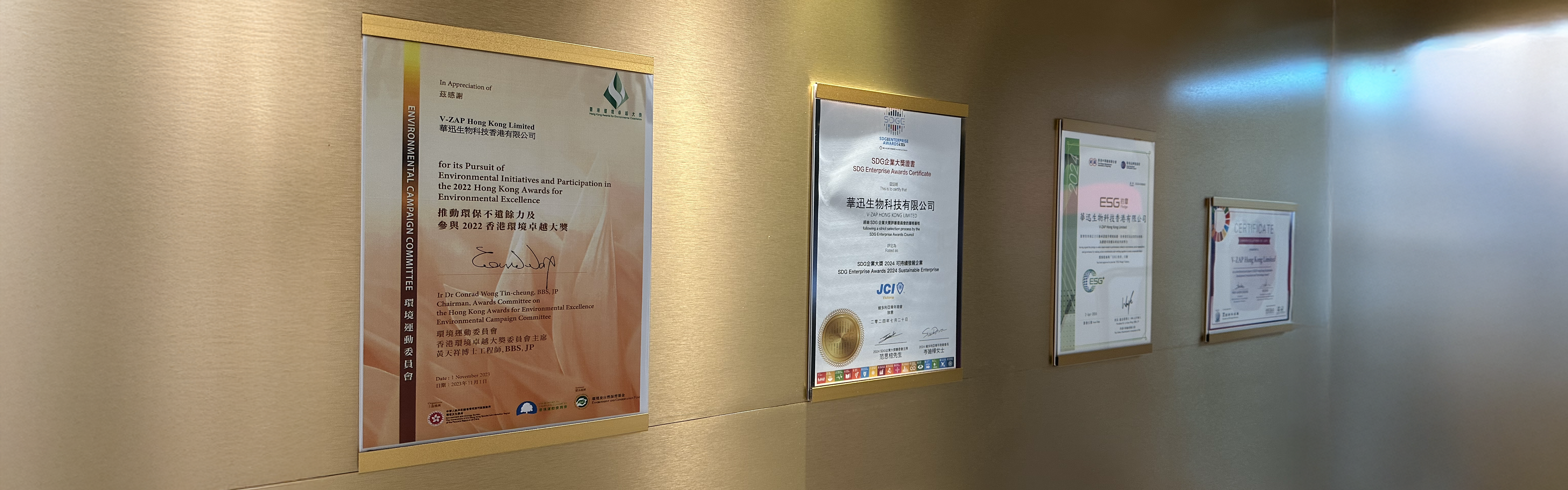 SGD development
